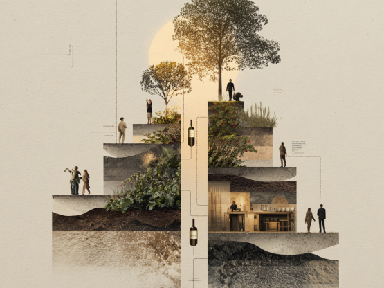 wx_A_cinematic_conceptual_scene_showing_the_journey_of_wine_a_1230cf04-3ee3-4313-955b-77d706c2c49f_2